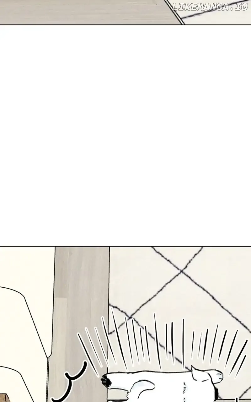 Want to See My Cat? Chapter 9 page 32
