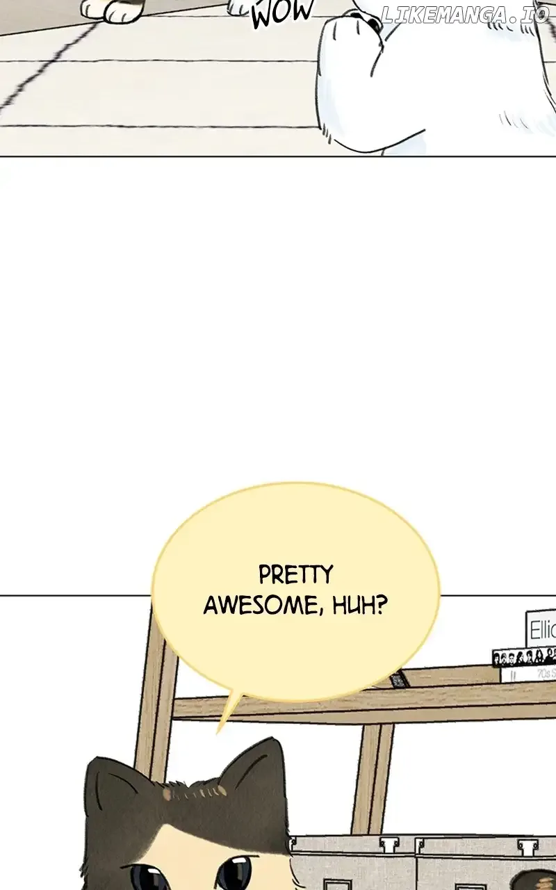 Want to See My Cat? Chapter 9 page 20