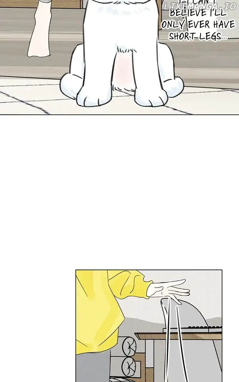 Want to See My Cat? Chapter 9 page 40