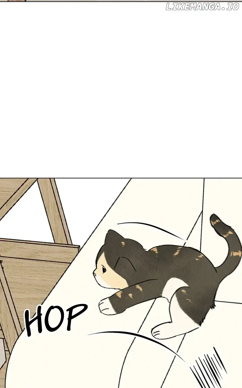 Want to See My Cat? Chapter 9 page 13