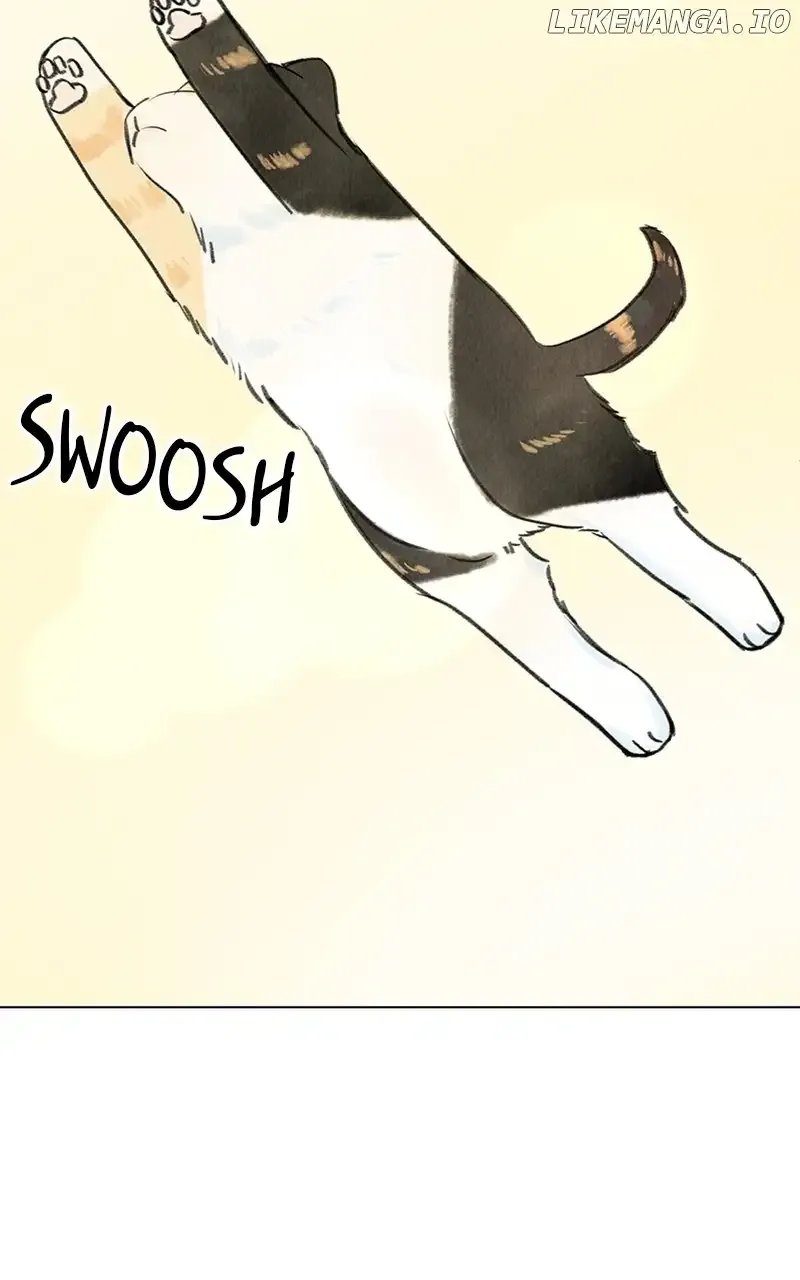 Want to See My Cat? Chapter 9 page 18