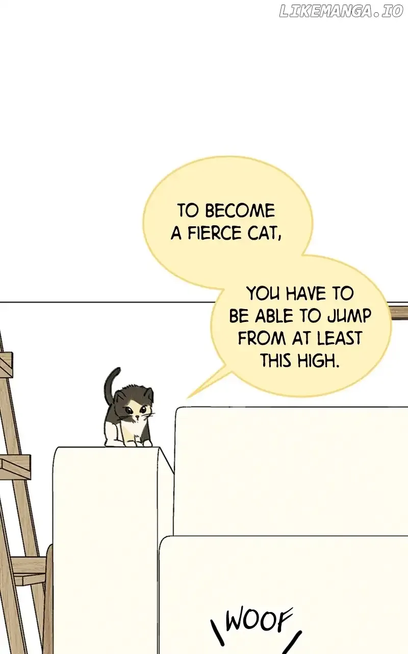 Want to See My Cat? Chapter 9 page 16