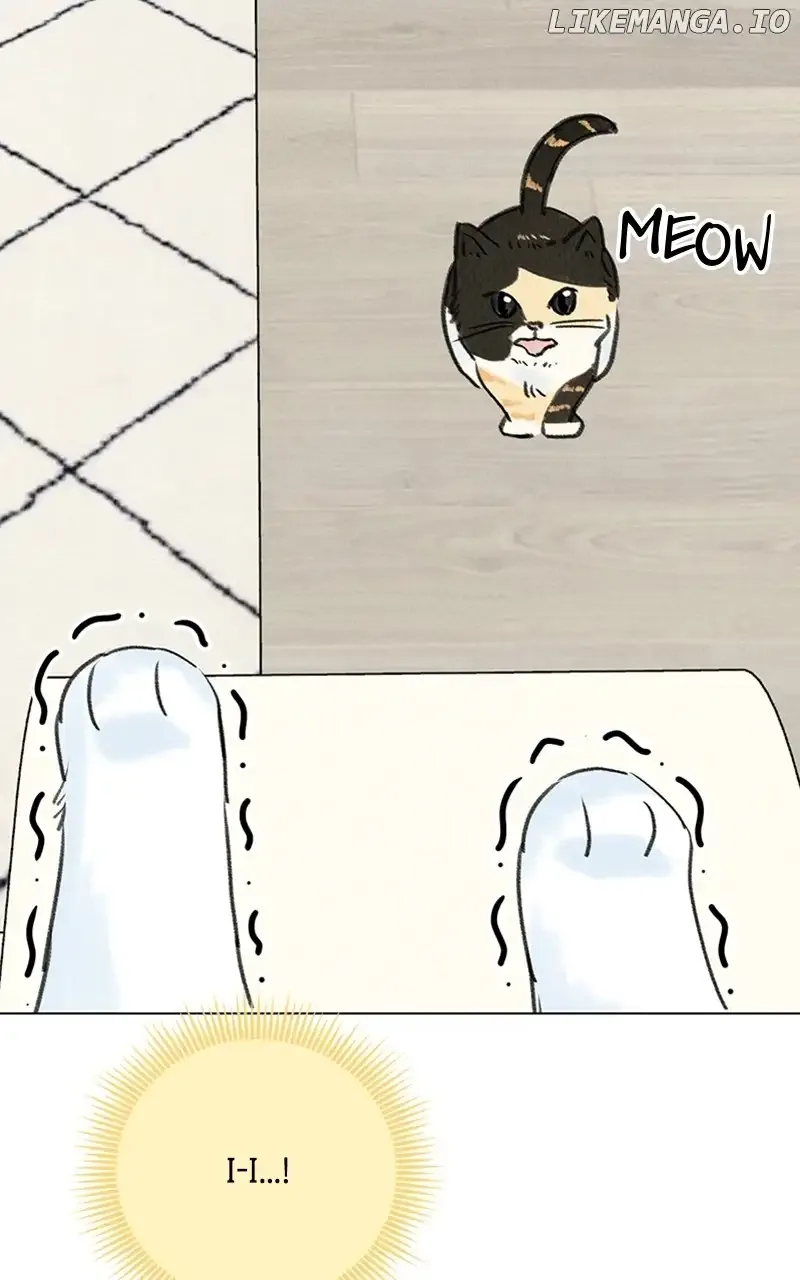 Want to See My Cat? Chapter 9 page 28