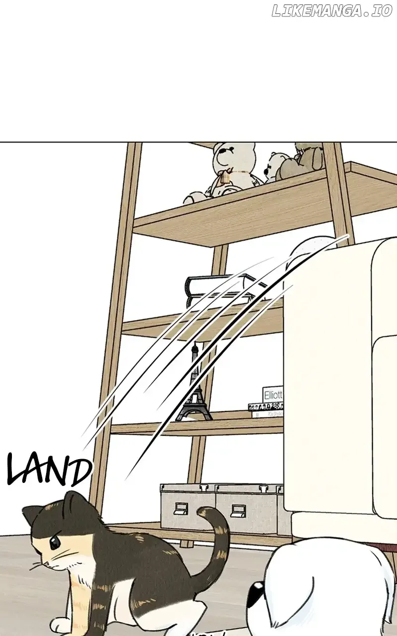 Want to See My Cat? Chapter 9 page 19