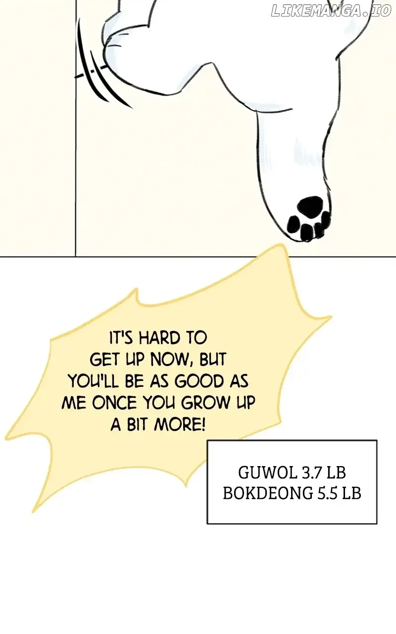 Want to See My Cat? Chapter 9 page 25