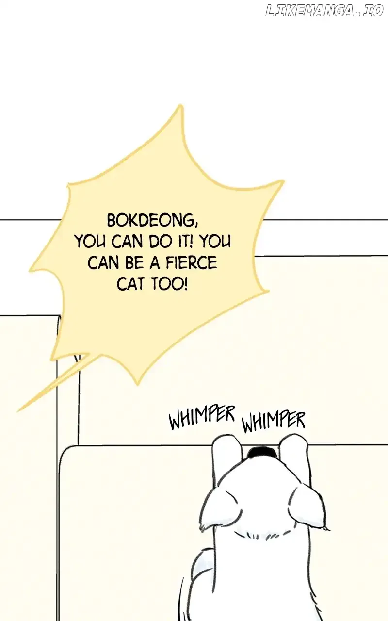 Want to See My Cat? Chapter 9 page 23