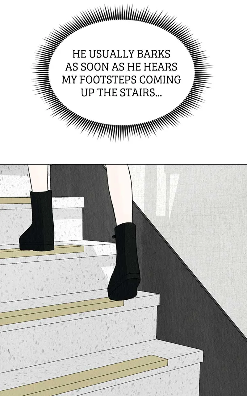 Want to See My Cat? Chapter 4 page 84