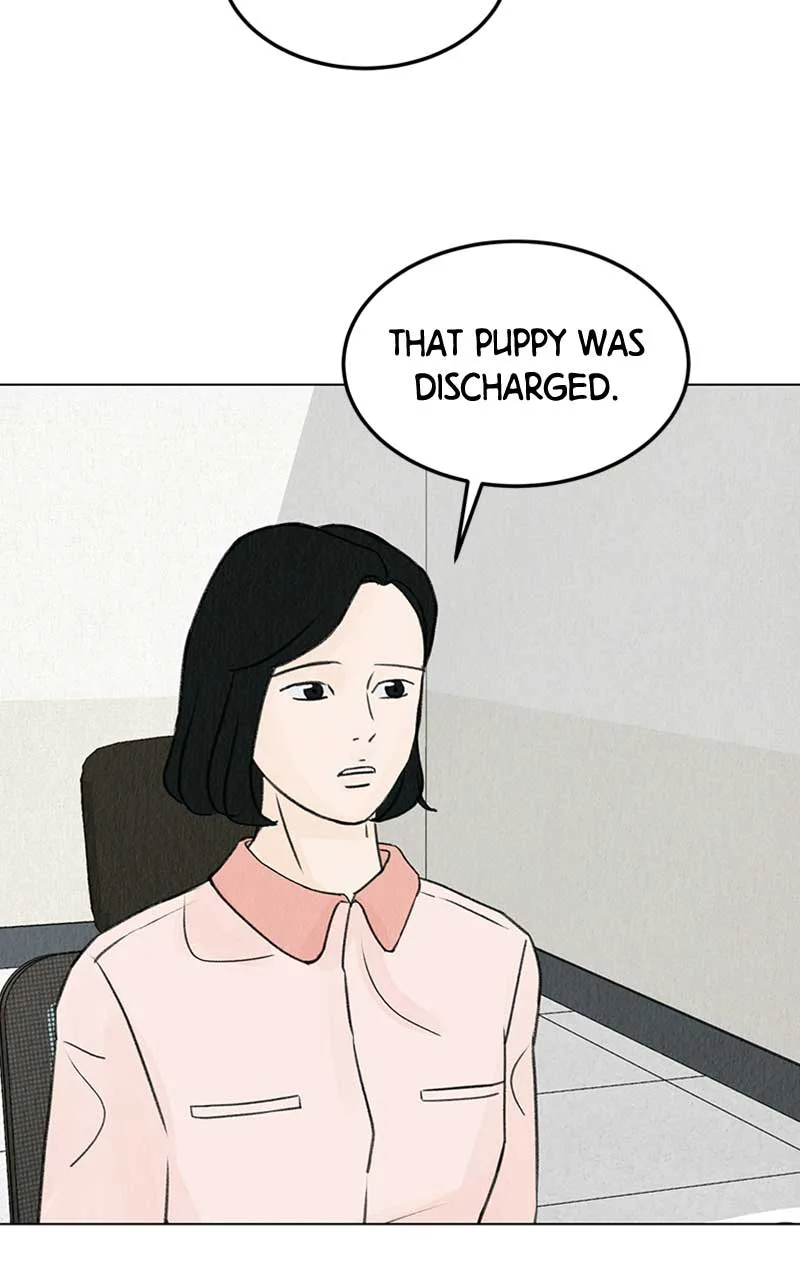 Want to See My Cat? Chapter 4 page 91