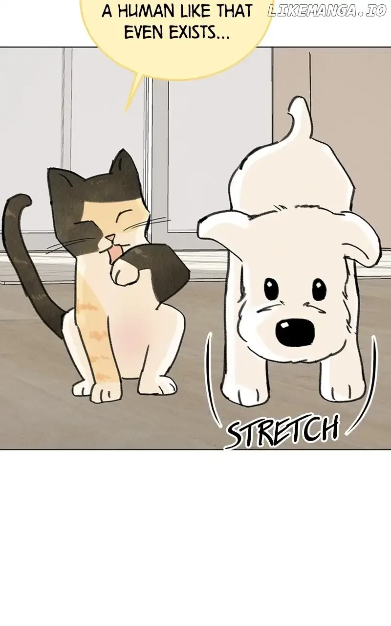 Want to See My Cat? Chapter 11 page 18