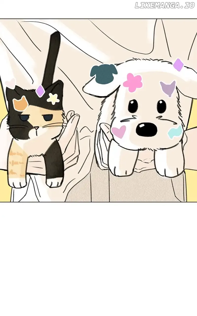 Want to See My Cat? Chapter 11 page 2