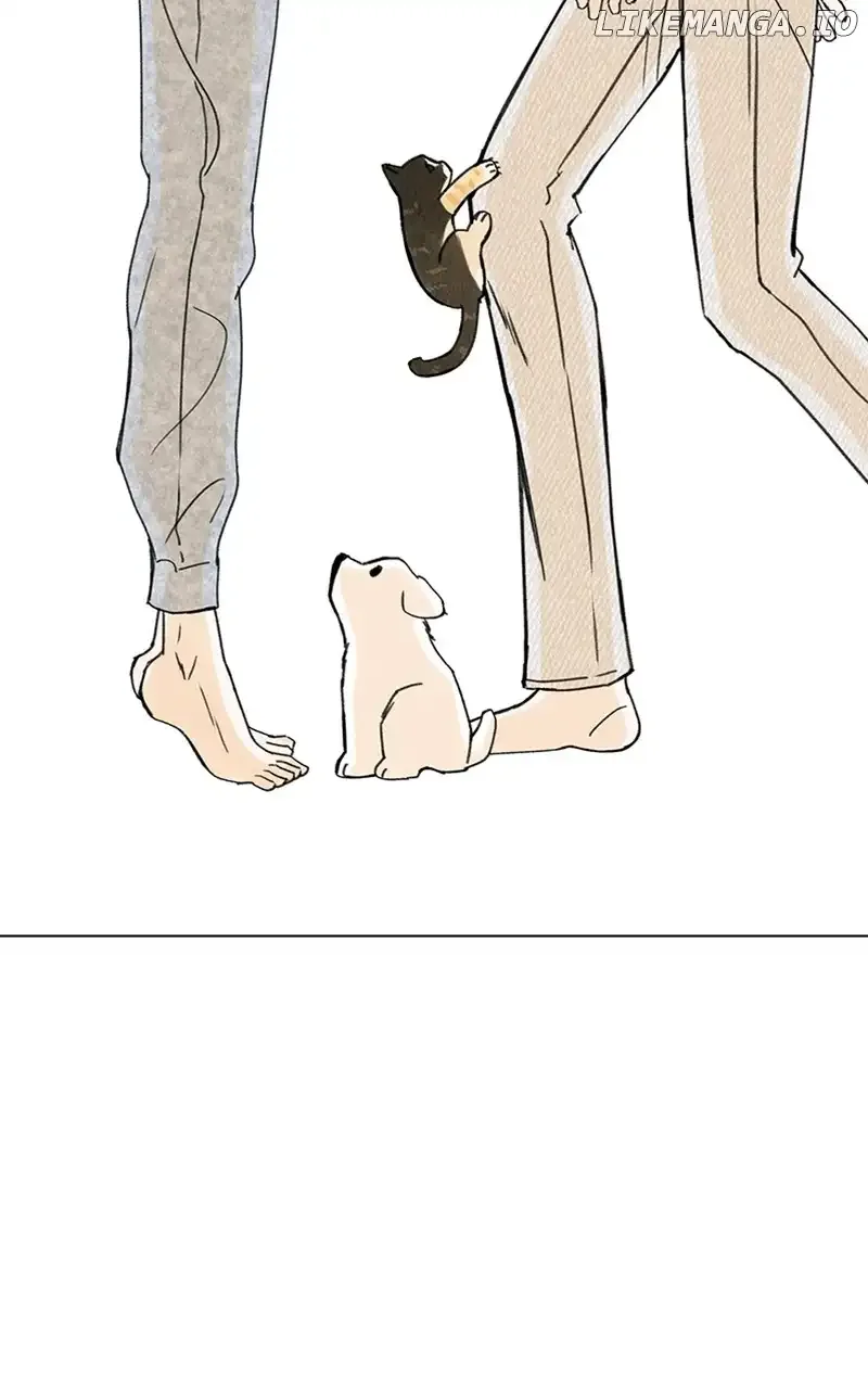 Want to See My Cat? Chapter 11 page 29