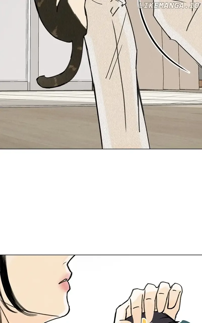 Want to See My Cat? Chapter 11 page 26