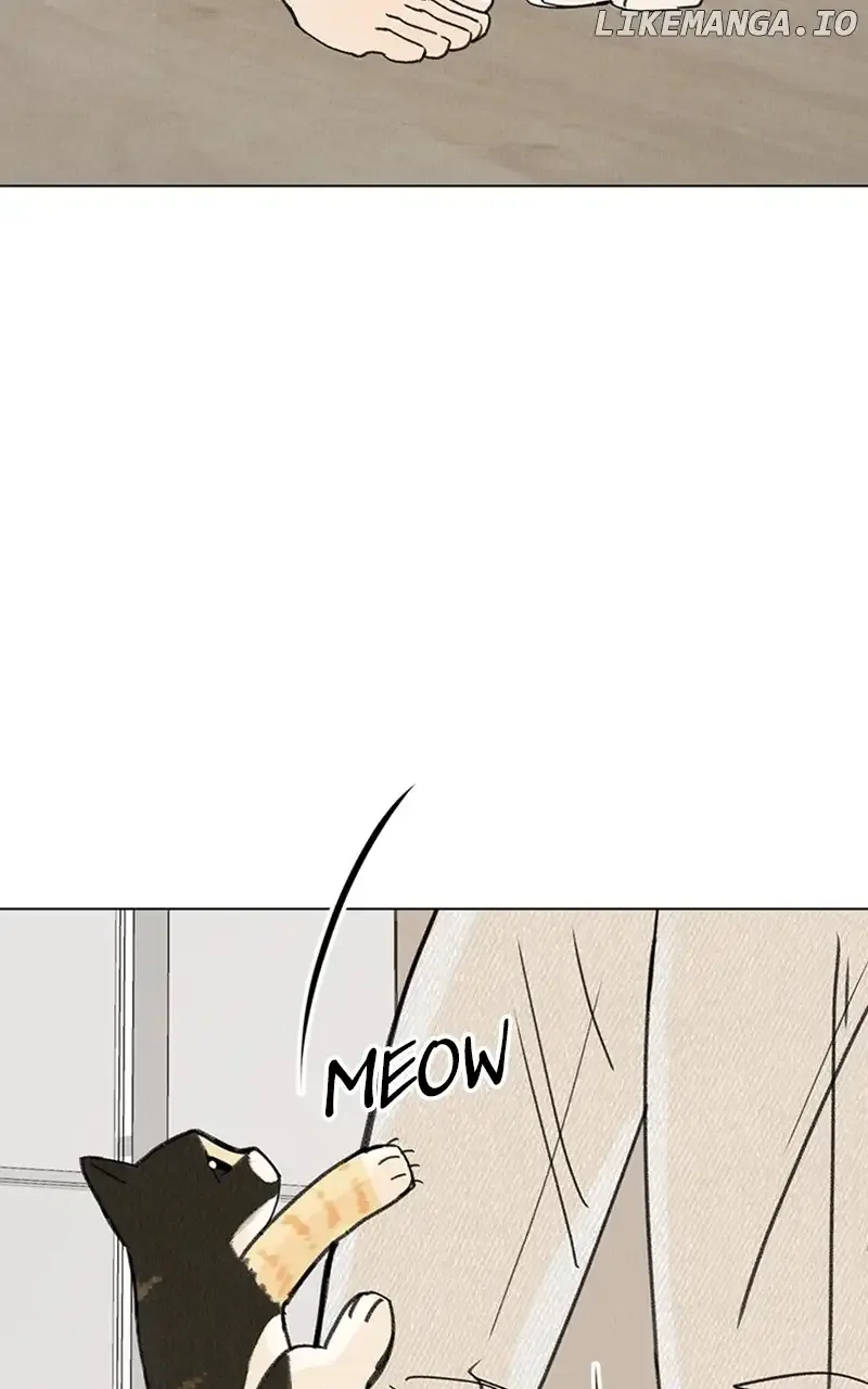 Want to See My Cat? Chapter 11 page 25