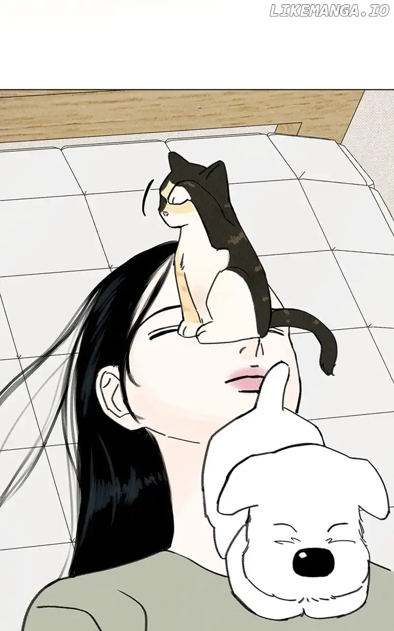 Want to See My Cat? Chapter 12 page 17