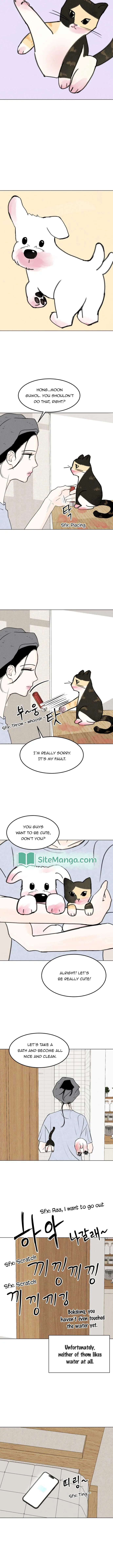 Want to See My Cat? Chapter 15 page 6