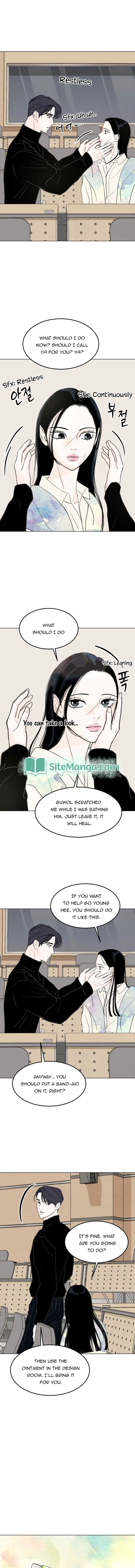 Want to See My Cat? Chapter 15 page 8