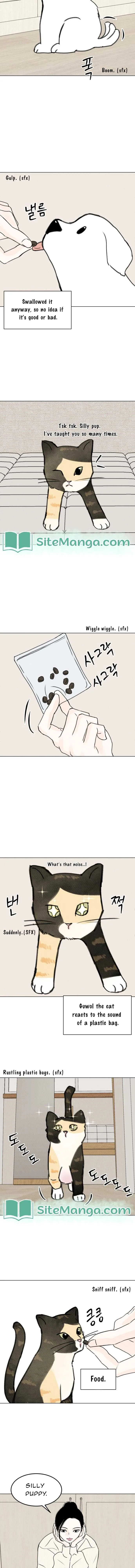 Want to See My Cat? Chapter 16 page 11