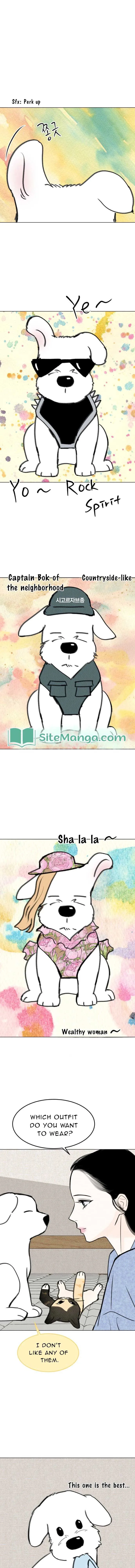 Want to See My Cat? Chapter 18 page 8