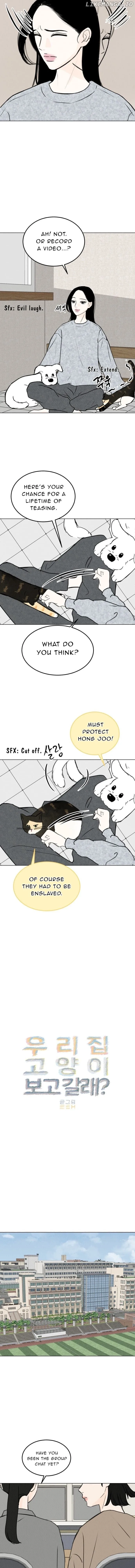 Want to See My Cat? Chapter 22 page 9