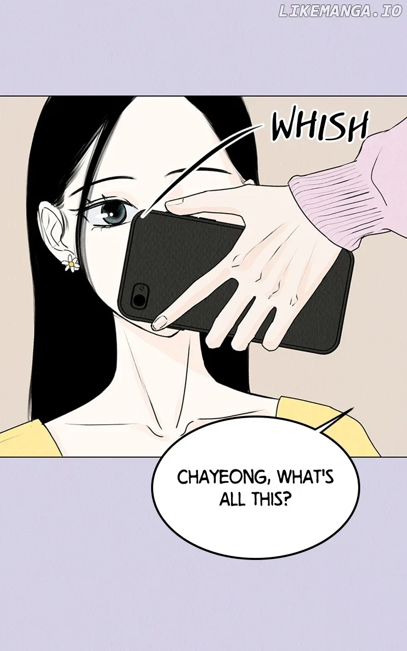 Want to See My Cat? Chapter 24 page 2