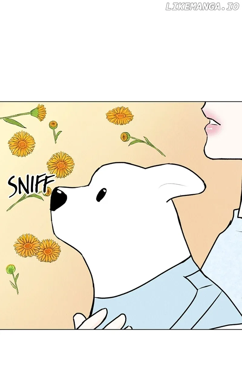 Want to See My Cat? Chapter 23 page 41