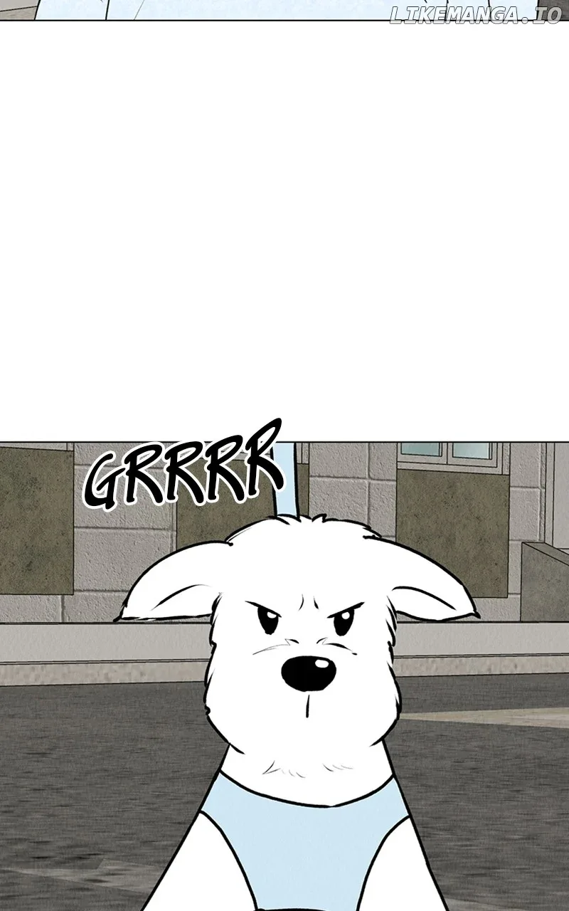 Want to See My Cat? Chapter 23 page 36