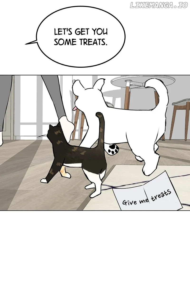 Want to See My Cat? Chapter 23 page 46