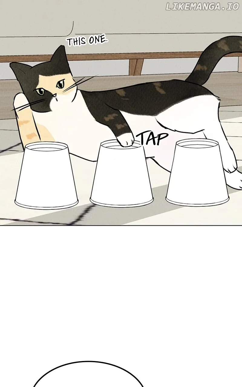 Want to See My Cat? Chapter 23 page 44