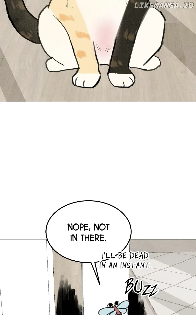 Want to See My Cat? Chapter 27 page 6