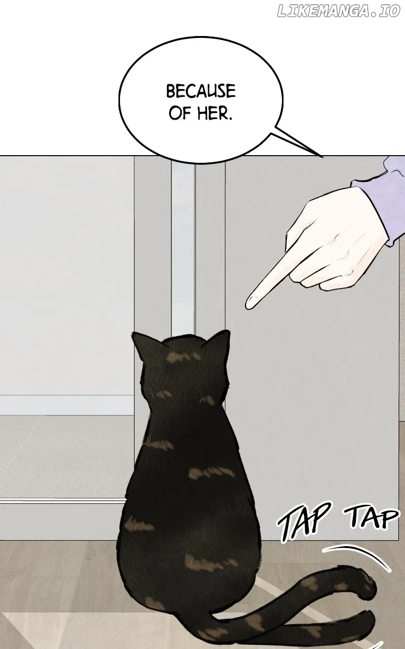 Want to See My Cat? Chapter 27 page 4