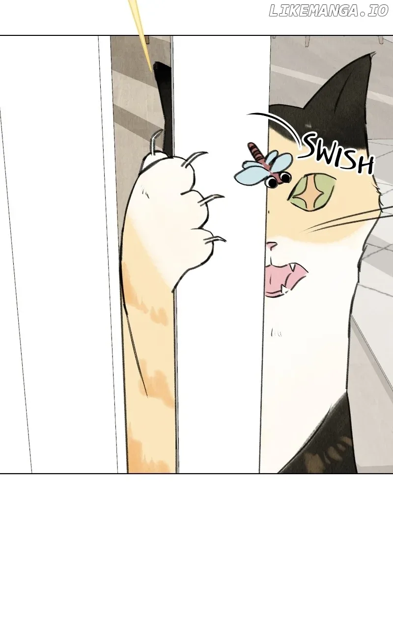 Want to See My Cat? Chapter 27 page 8