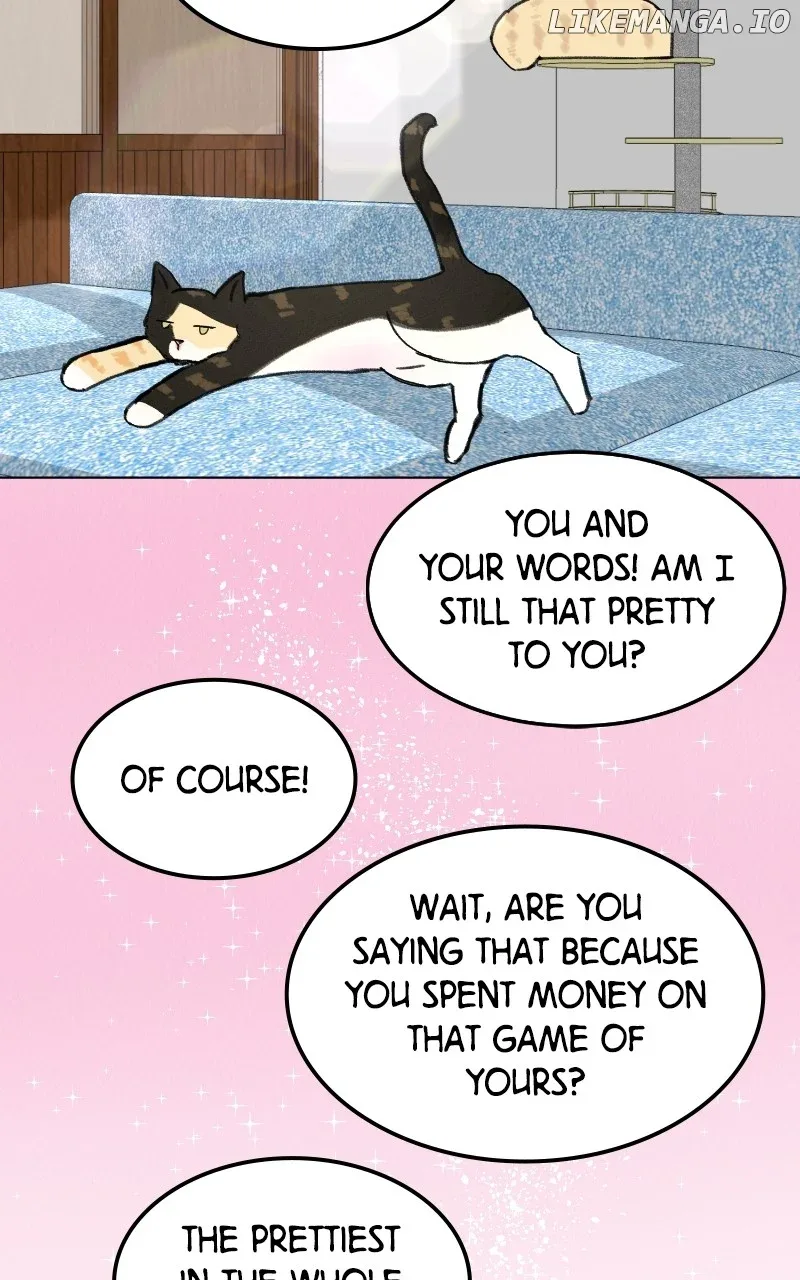 Want to See My Cat? Chapter 26 page 71