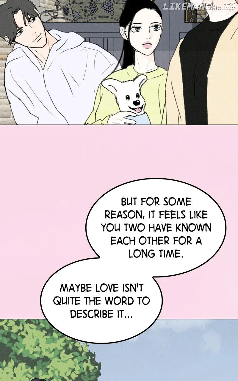 Want to See My Cat? Chapter 26 page 44