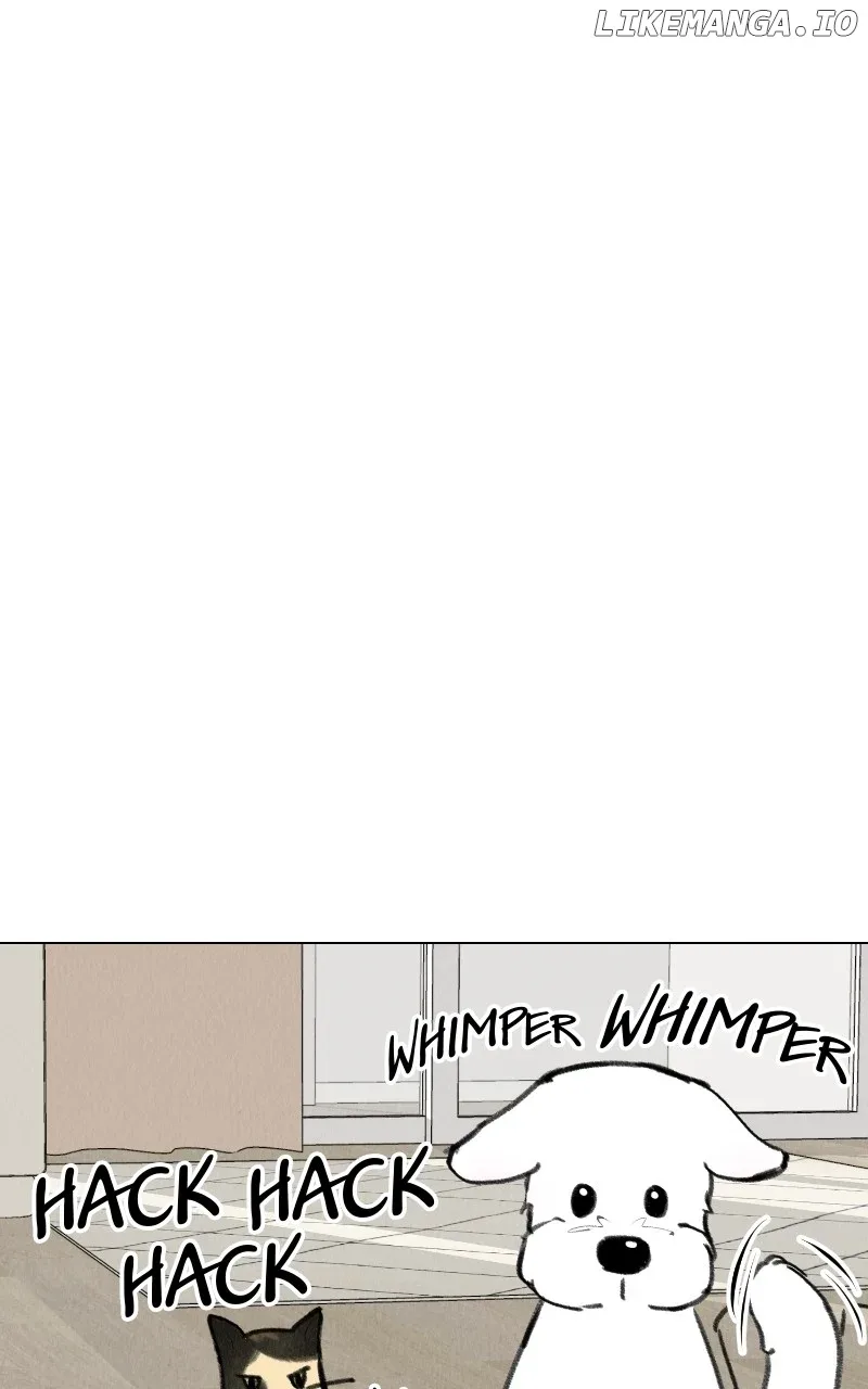 Want to See My Cat? Chapter 28 page 49