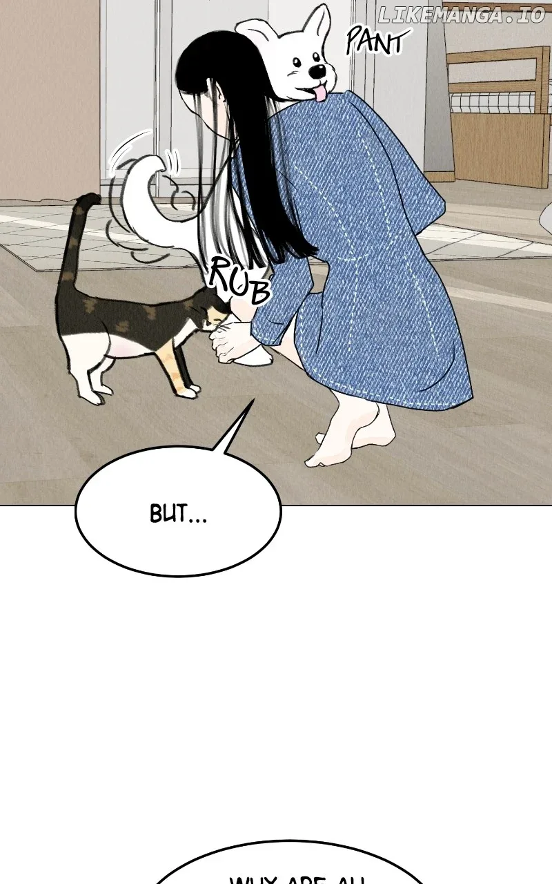 Want to See My Cat? Chapter 28 page 51