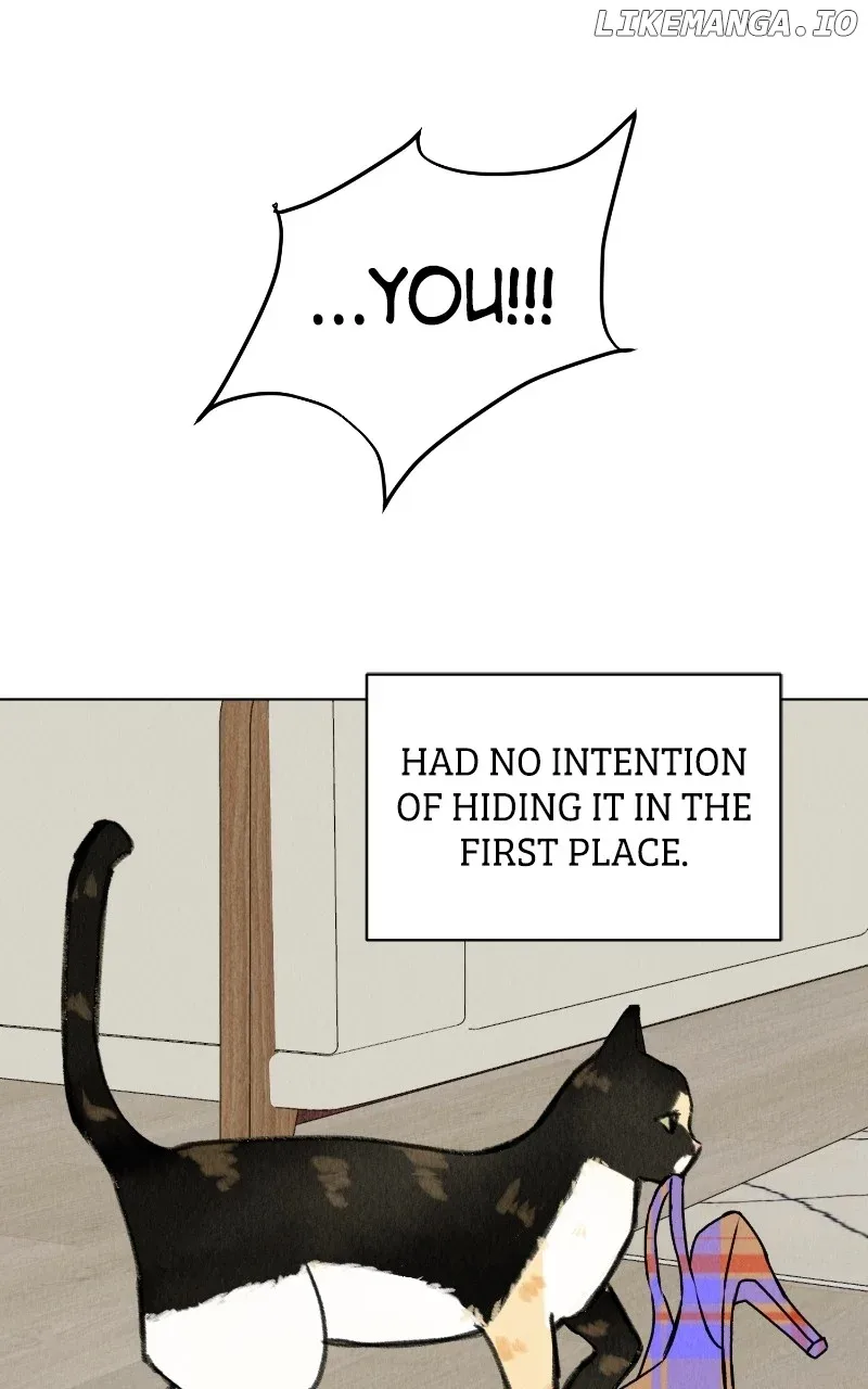 Want to See My Cat? Chapter 28 page 54