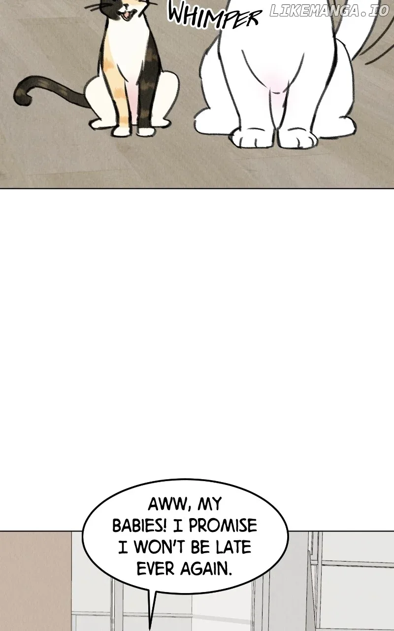 Want to See My Cat? Chapter 28 page 50