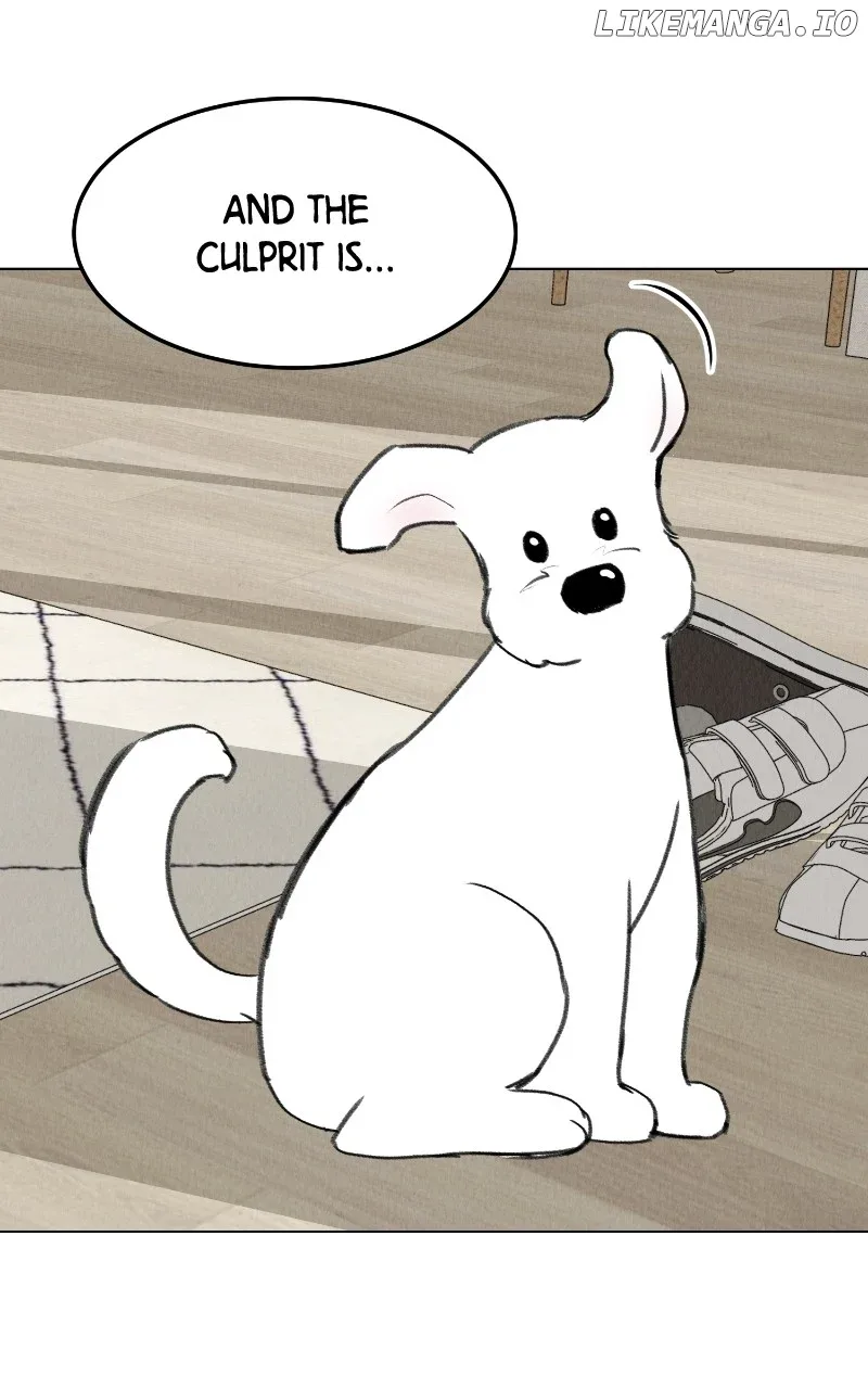 Want to See My Cat? Chapter 28 page 53