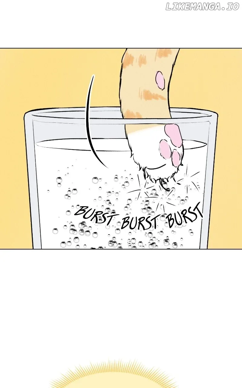Want to See My Cat? Chapter 25 page 32