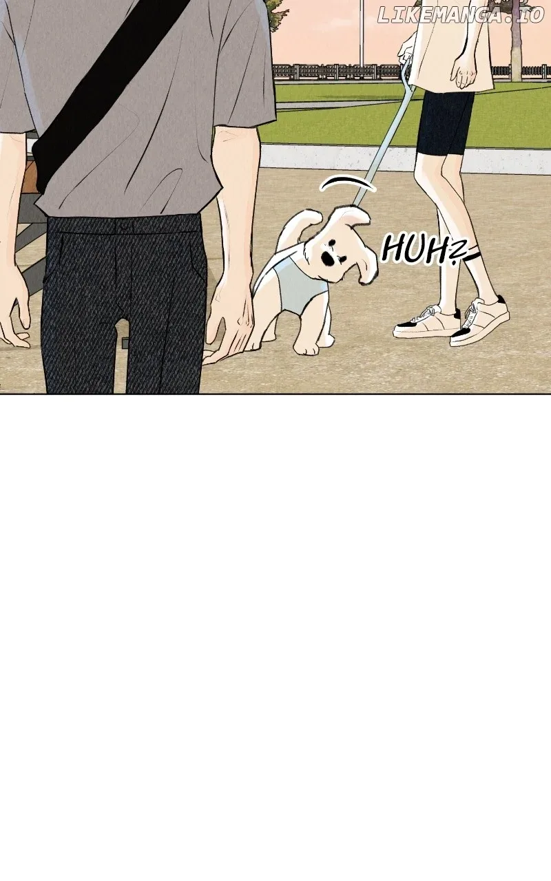 Want to See My Cat? Chapter 27 page 38