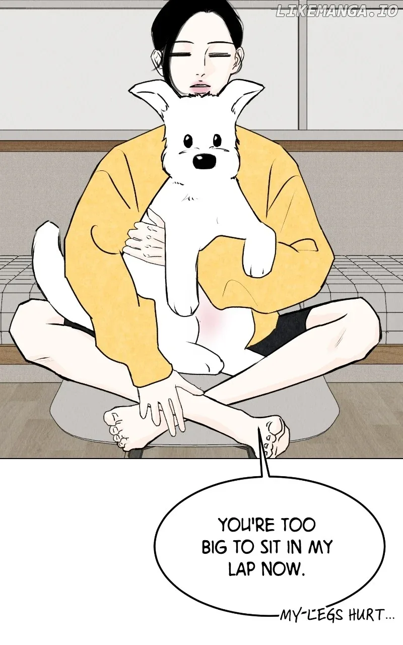 Want to See My Cat? Chapter 25 page 38