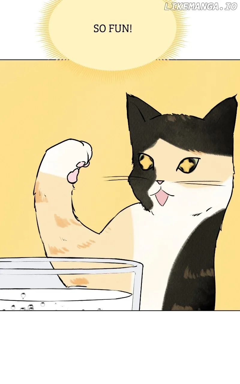Want to See My Cat? Chapter 25 page 33