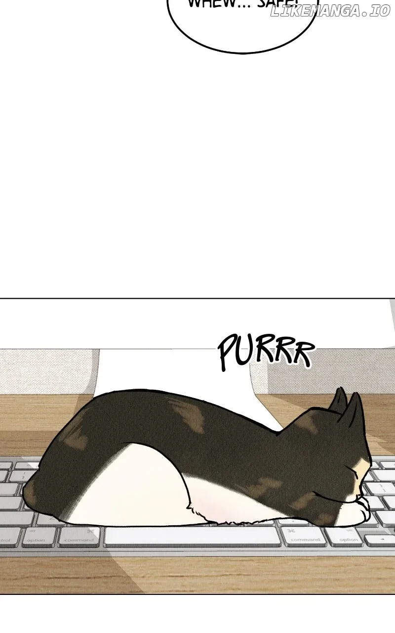 Want to See My Cat? Chapter 25 page 41