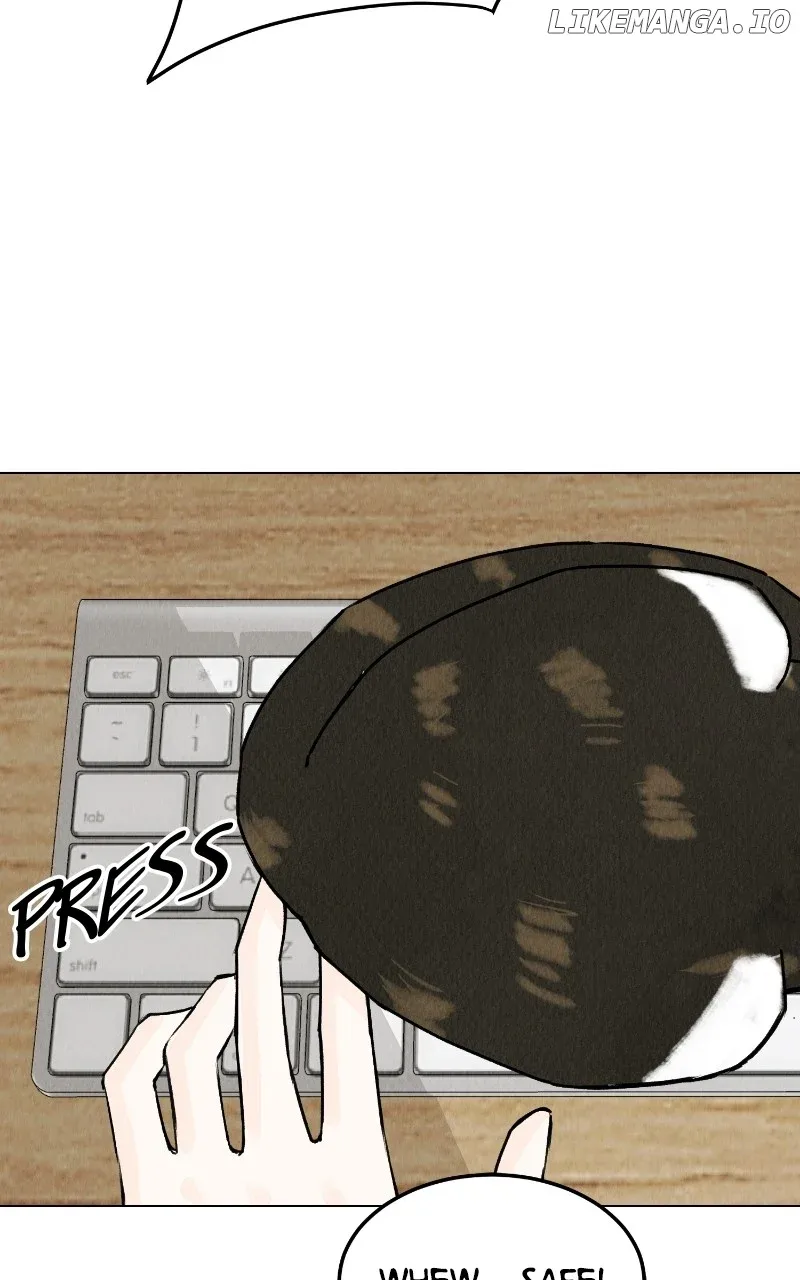 Want to See My Cat? Chapter 25 page 40