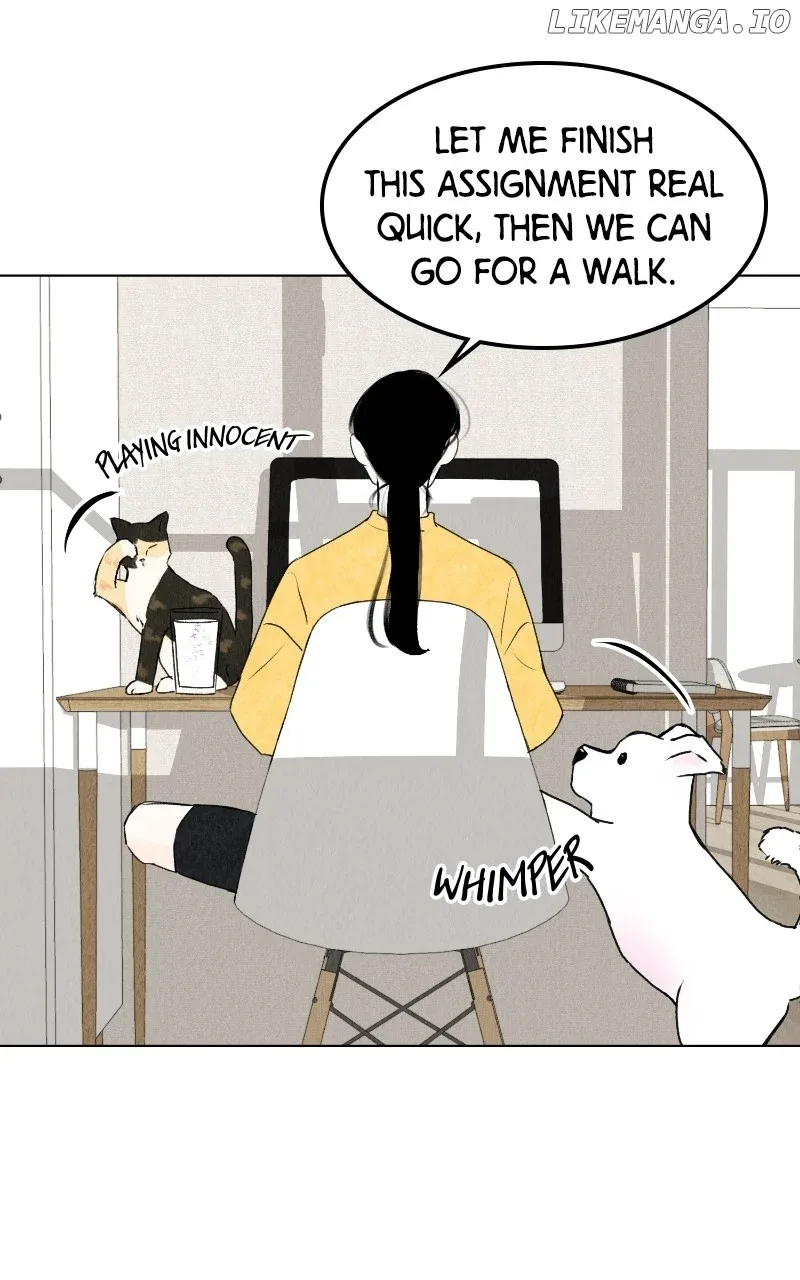 Want to See My Cat? Chapter 25 page 34
