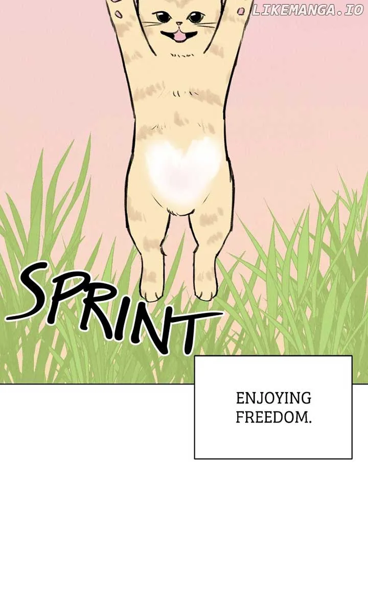 Want to See My Cat? Chapter 30 page 60