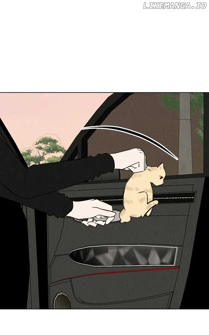 Want to See My Cat? Chapter 30 page 51