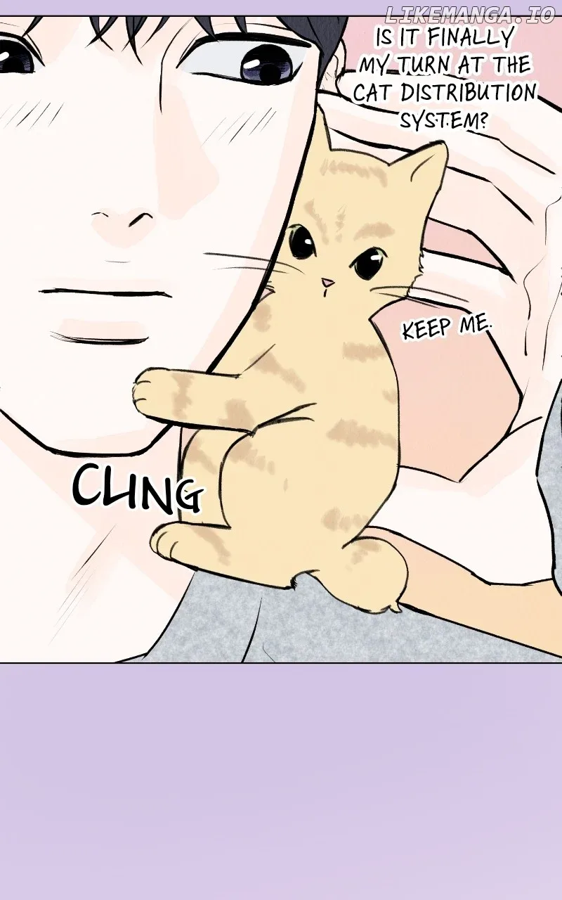 Want to See My Cat? Chapter 29 page 7