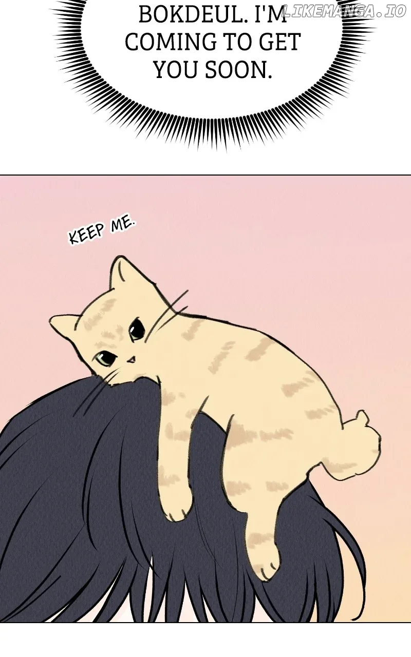 Want to See My Cat? Chapter 29 page 12