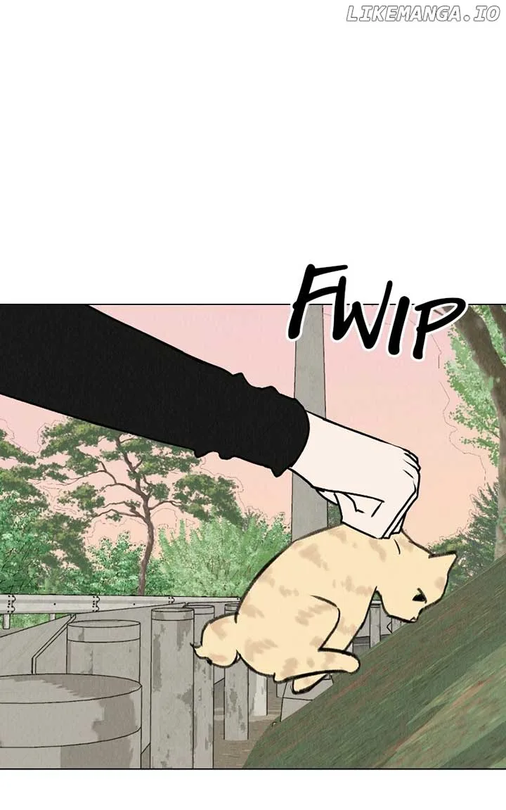 Want to See My Cat? Chapter 30 page 52